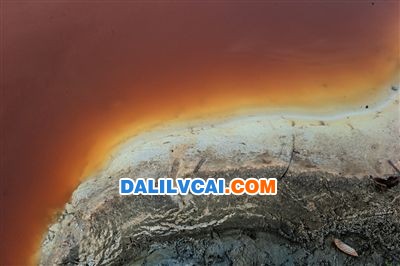 從堆放固廢的地方滲透下來的積水變成了散發(fā)著惡臭的污水，最后匯入沅江。