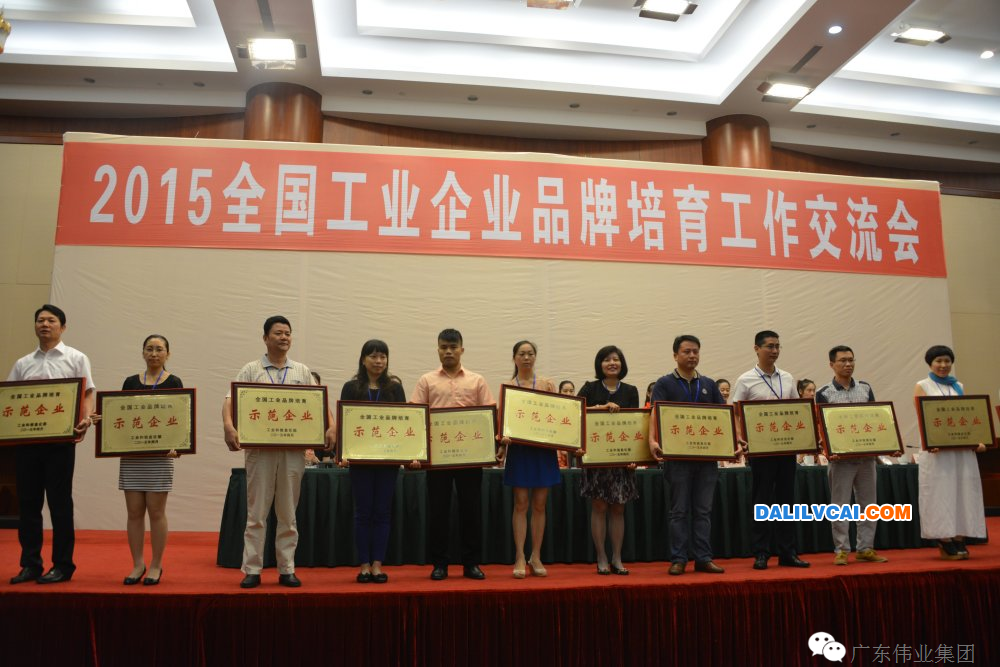 2015工業(yè)企業(yè)品牌培育工作交流會(huì)獲獎(jiǎng)人合影