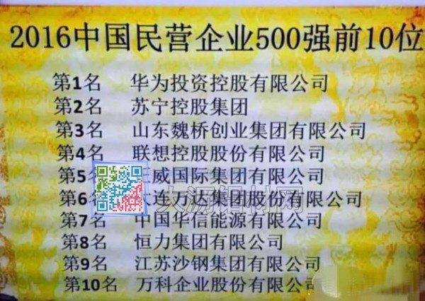 2016年中國(guó)民營(yíng)企業(yè)500強(qiáng)前10位名單