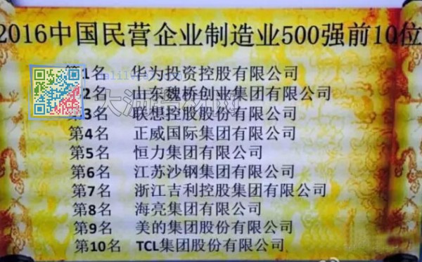 2016年中國(guó)民營(yíng)企業(yè)制造業(yè)500強(qiáng)前10名