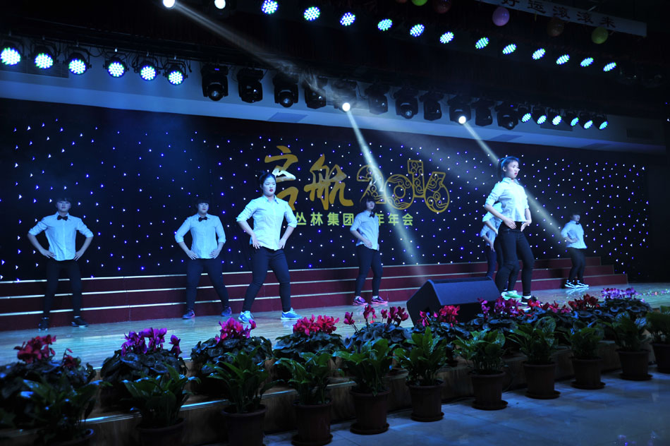 叢林鋁業(yè)2015年會歌舞表演5
