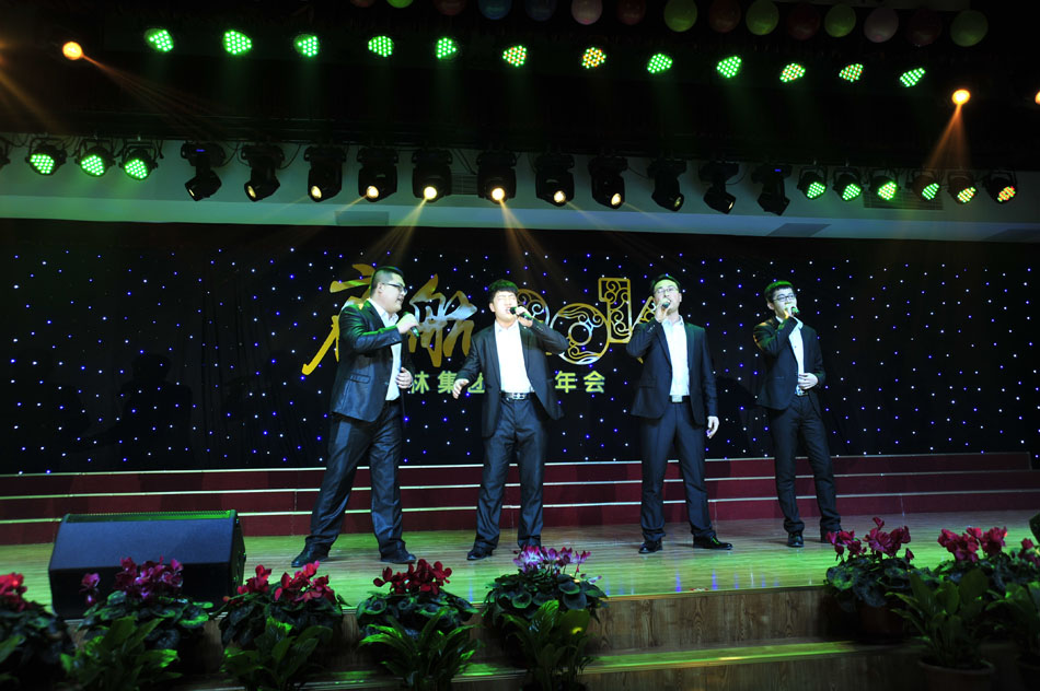 叢林鋁業(yè)2015年會歌舞表演4