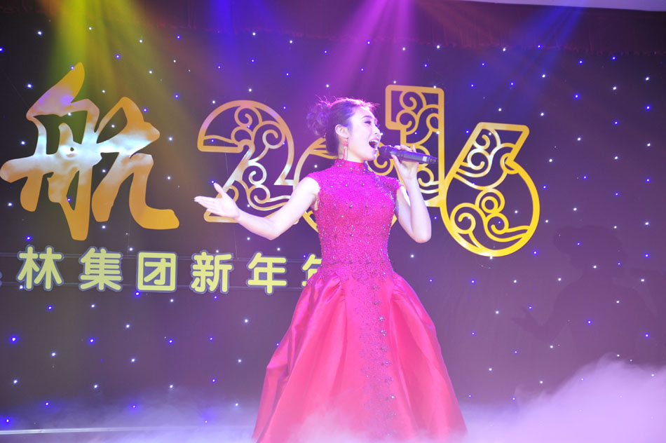 叢林鋁業(yè)2015年會歌舞表演12