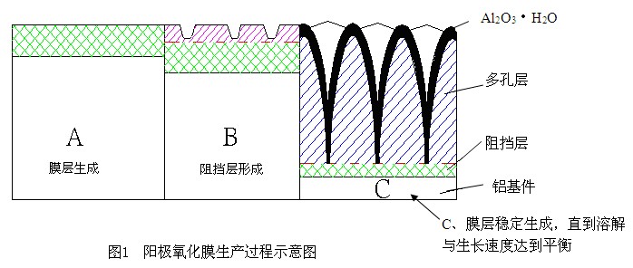 鋁材陽極氧化膜成長機理